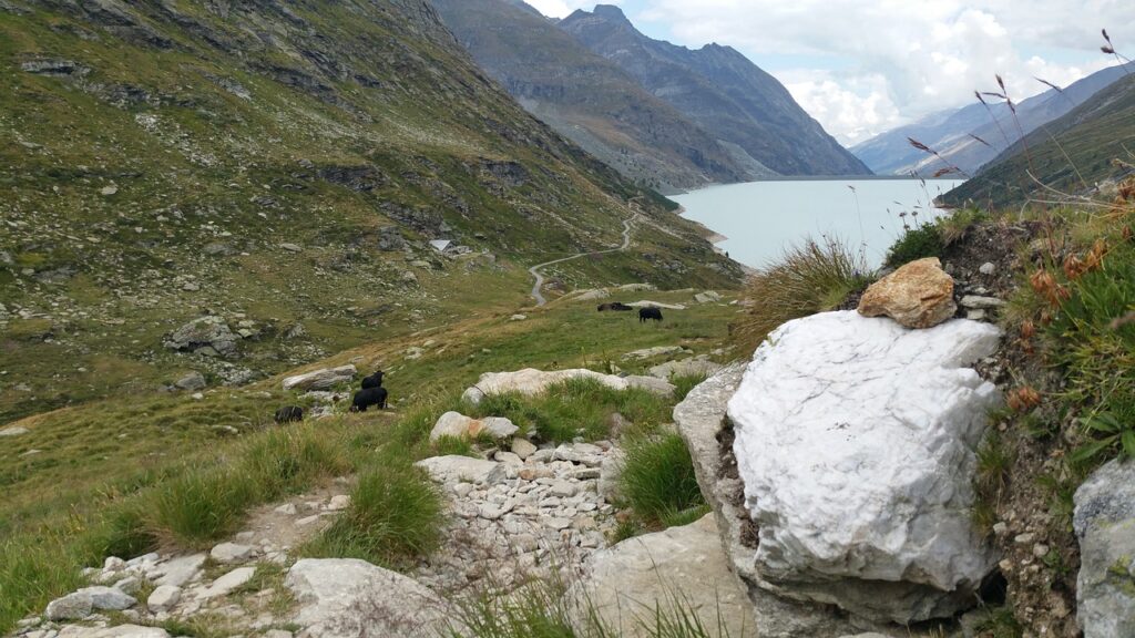 SaaSビジネスにおけるアップセル戦略の成功事例は？