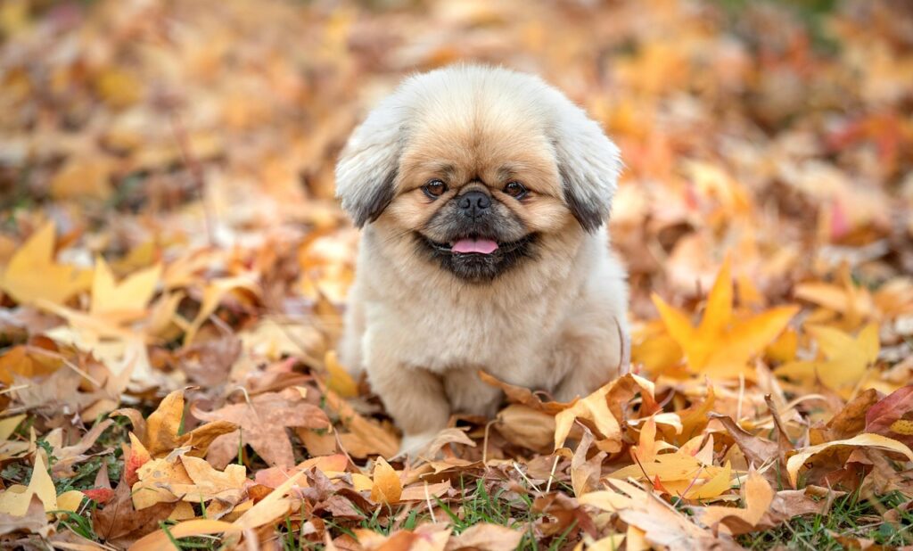 デモ成功例から学ぶ成功するプレゼンテーションの秘訣は？