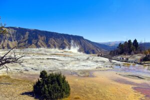 SaaSのNPS向上に向けた効果的な取り組みとは？