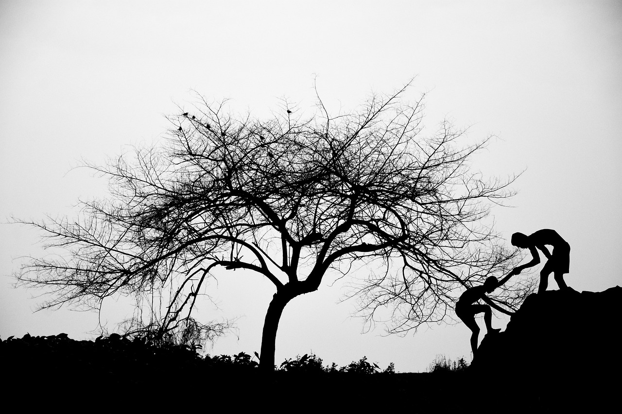 SaaS経営の成功事例から学ぶべきポイントは？