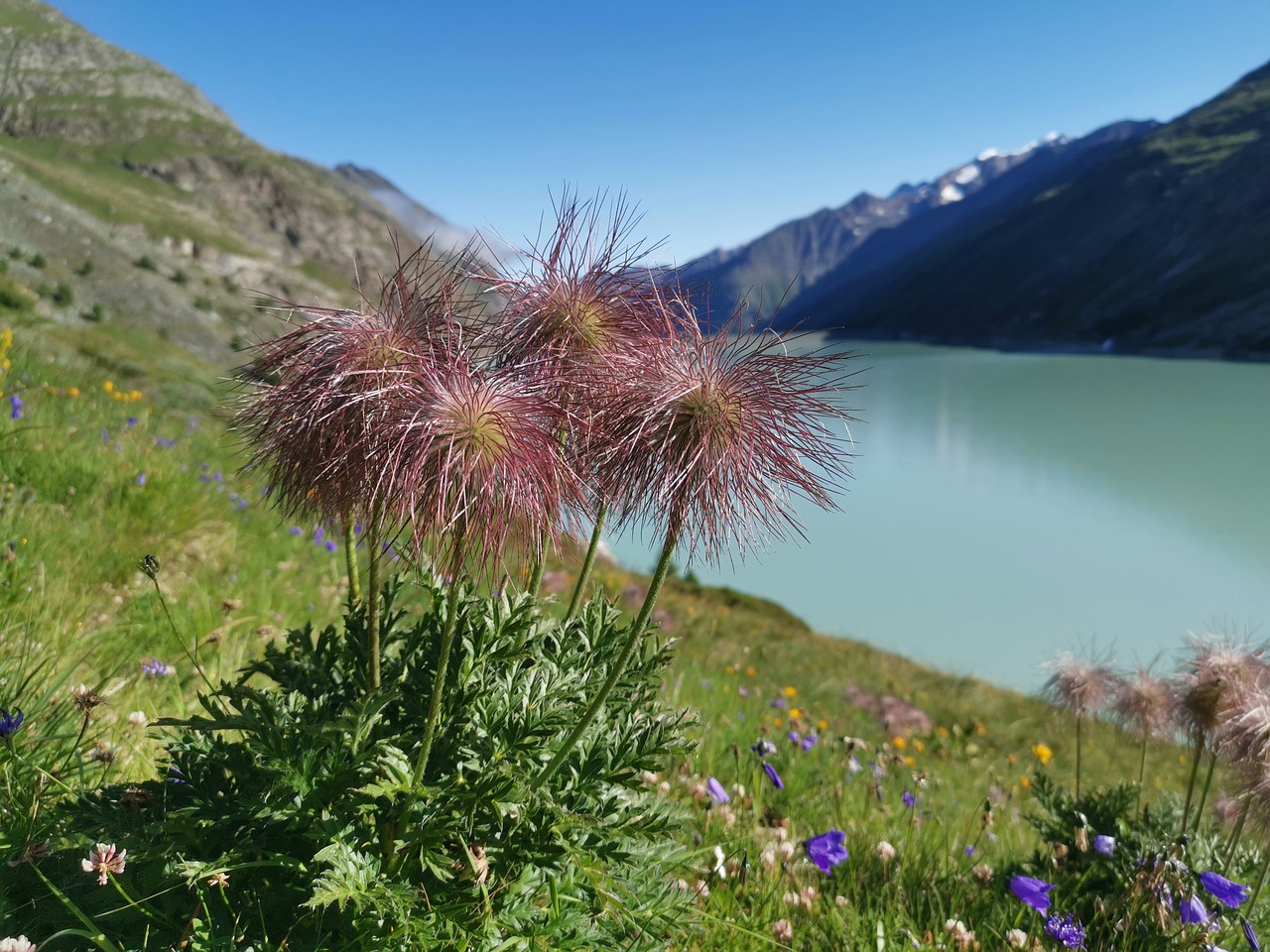 SaaSのLTV計算に役立つフォーミュラとは？