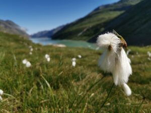 SaaSの継続率向上に効果的な施策とは？