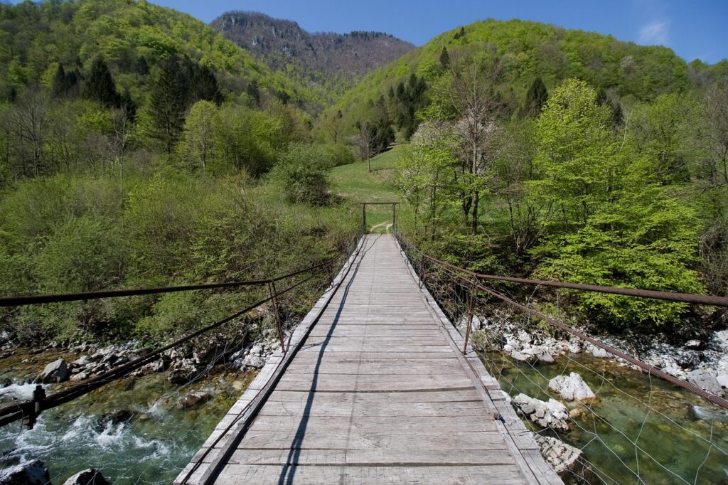 トライアル期間を短縮するための効果的な方法は？