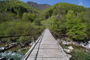 トライアル期間を短縮するための効果的な方法は？