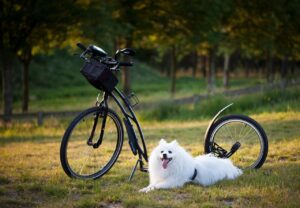 お試し期間を有効活用するための具体的な方法は？