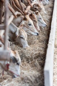 従量課金制のサブスクを選ぶ際のポイントは？