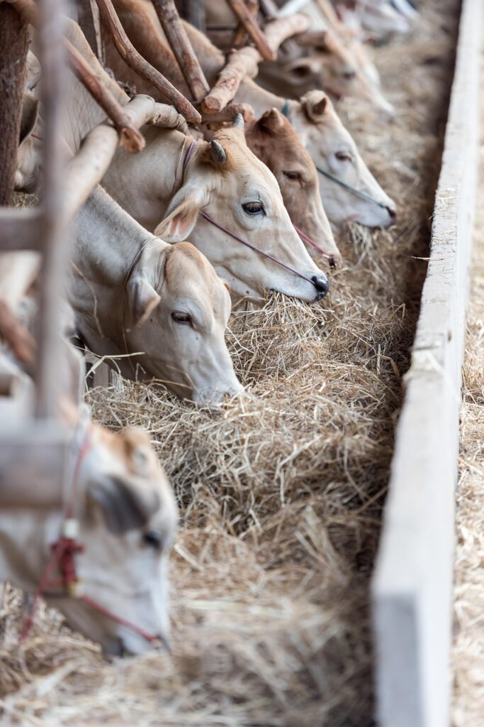 従量課金制のサブスクを選ぶ際のポイントは？