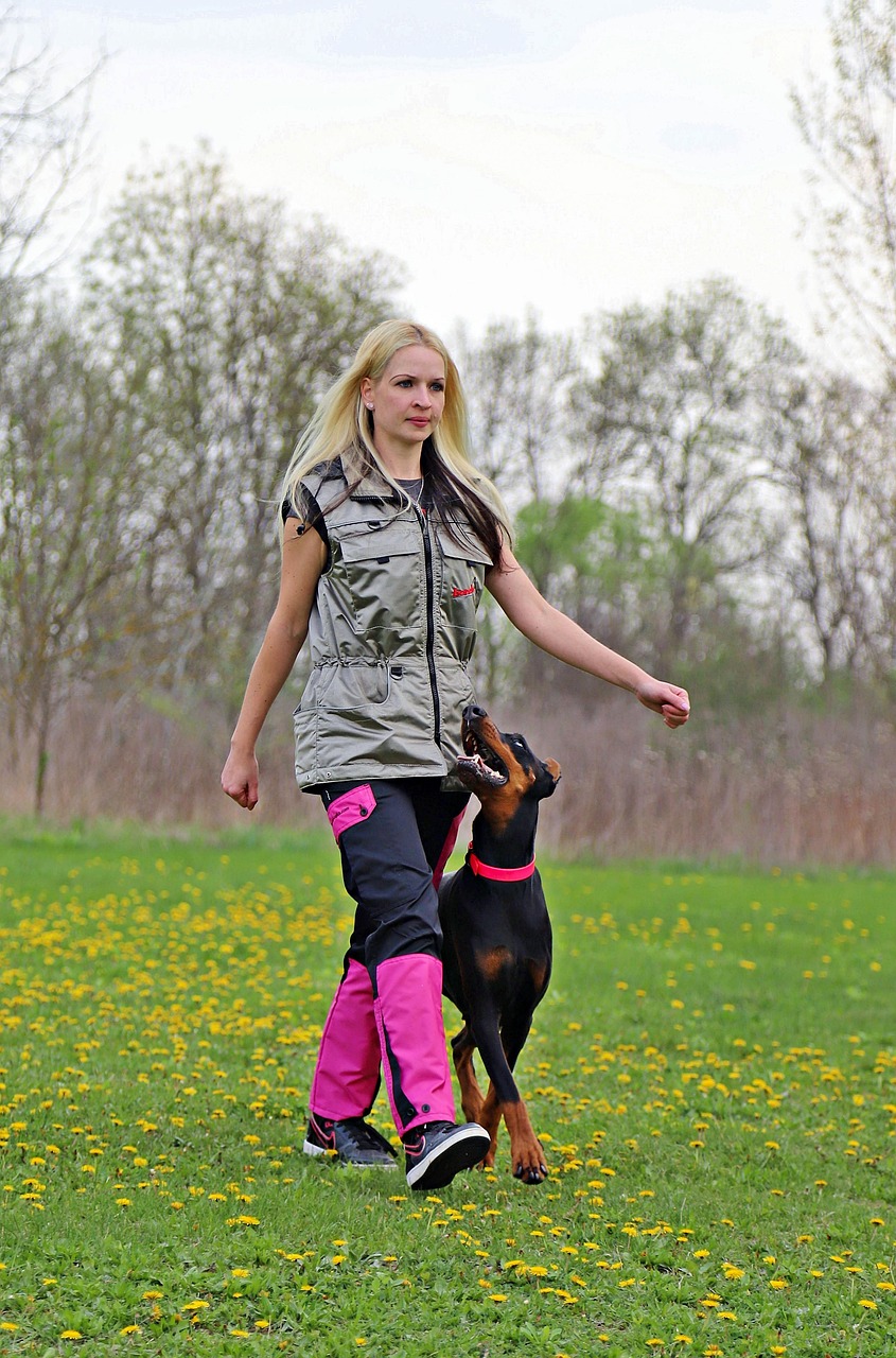 従量課金制のサブスク設計で押さえておくべきポイントは？