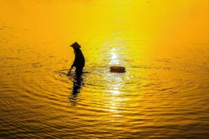 無料比率の見直しで得られるメリットとは？