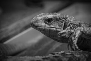 競合と差をつけるために必要な戦略とは？