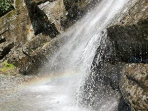 SaaSビジネスにおけるARR成長のための効果的な方法は？